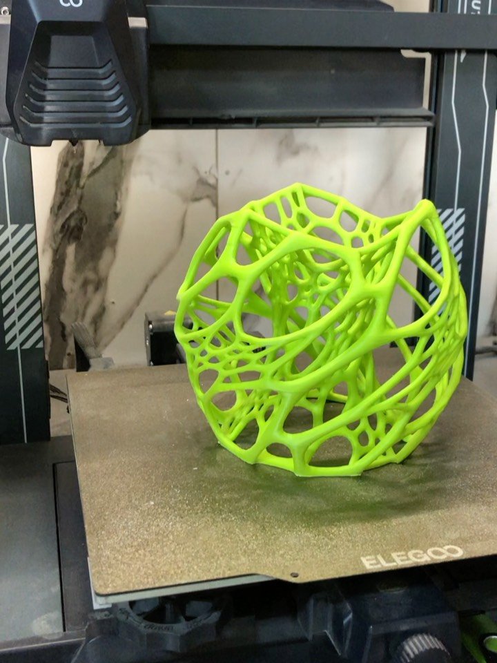 Organic lattice 3D print